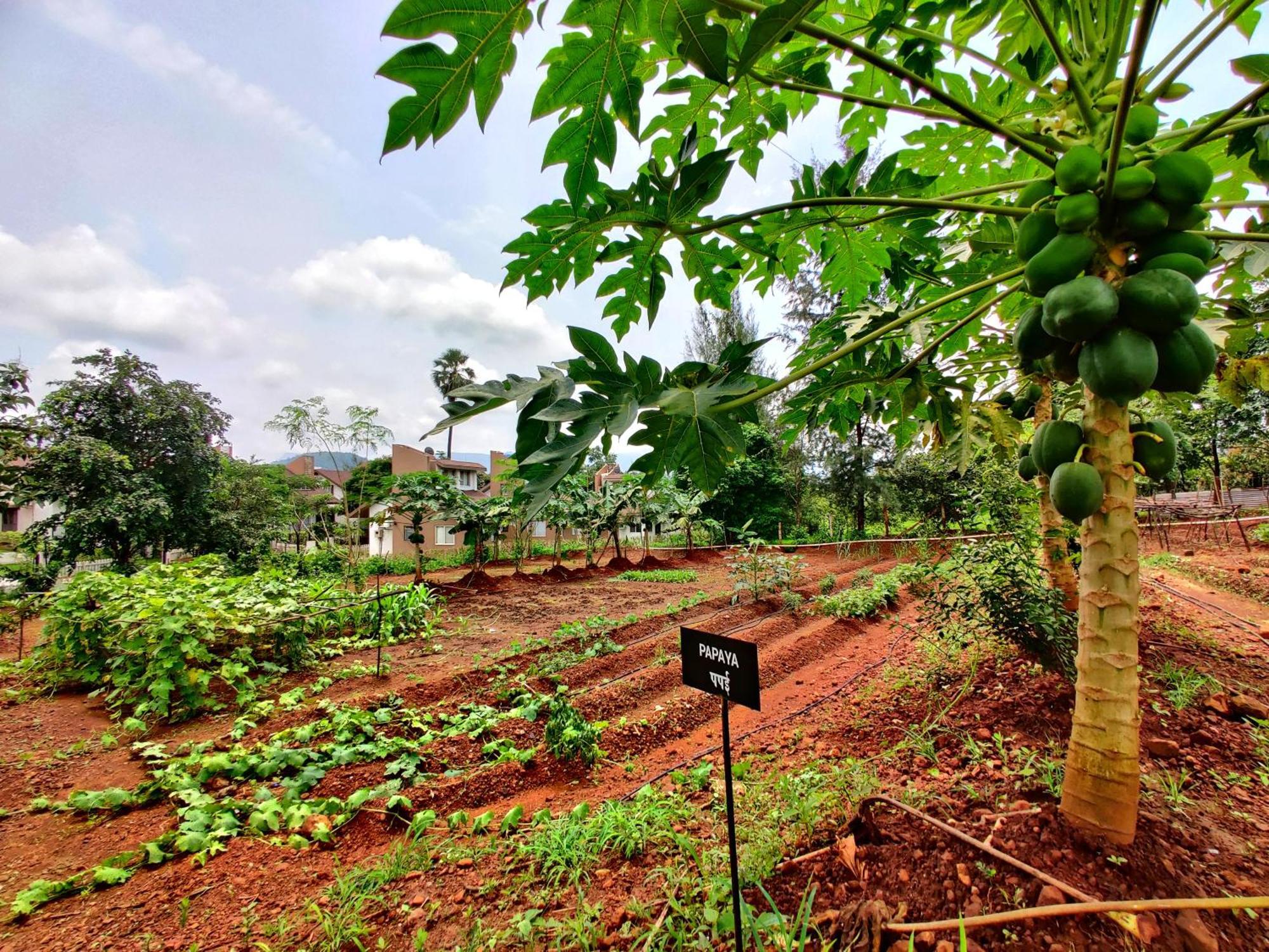 Pushpam Sanskruti Resort Karjat - A Pure Veg Resort Dhamni Eksteriør billede