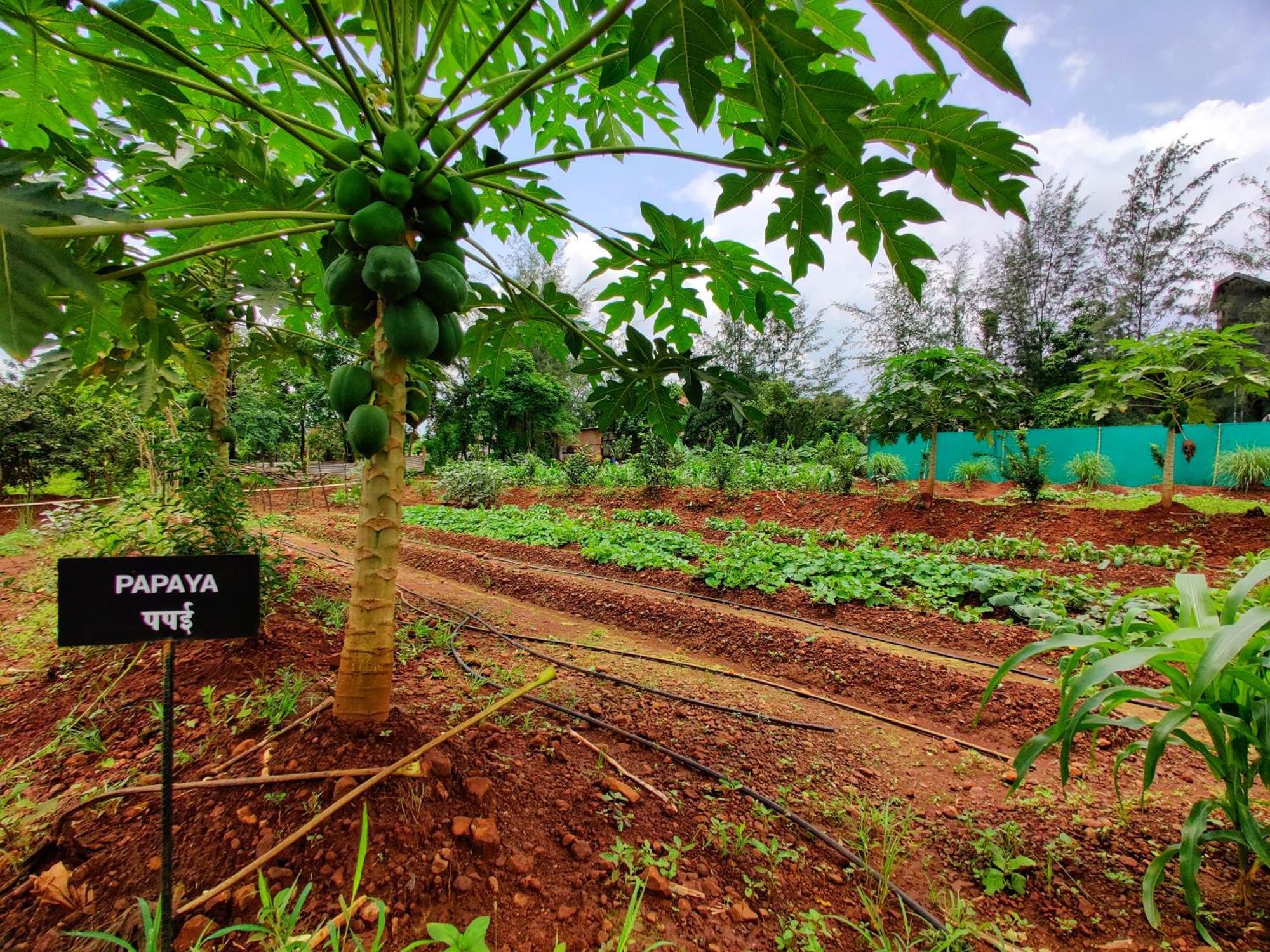 Pushpam Sanskruti Resort Karjat - A Pure Veg Resort Dhamni Eksteriør billede