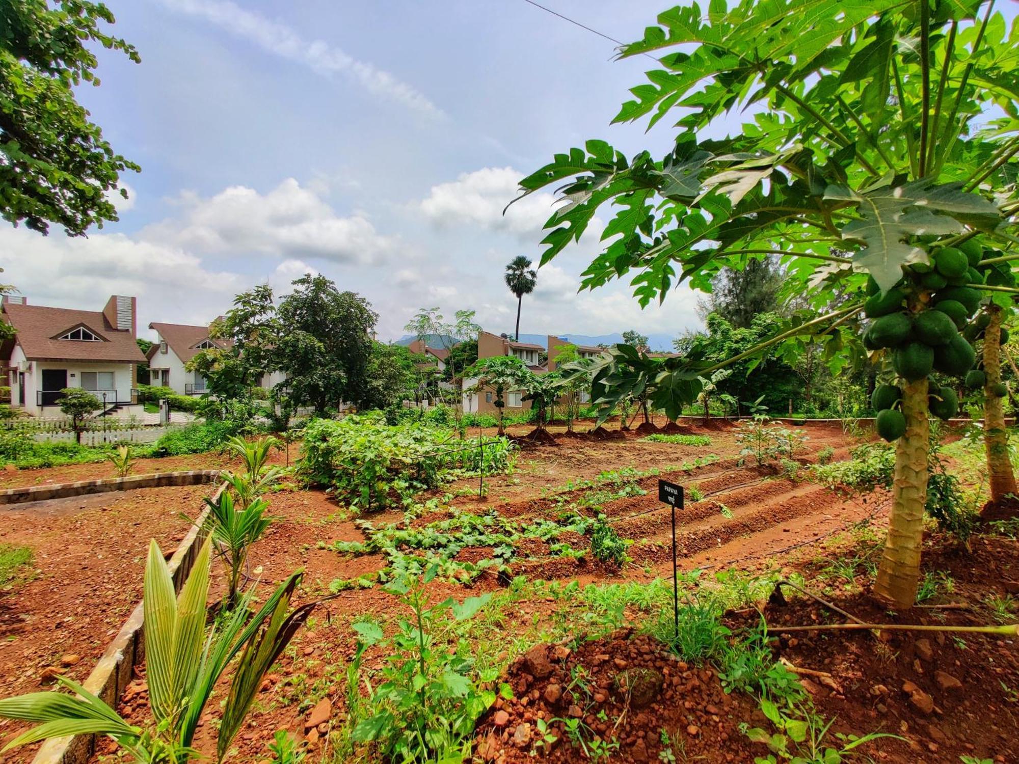 Pushpam Sanskruti Resort Karjat - A Pure Veg Resort Dhamni Eksteriør billede